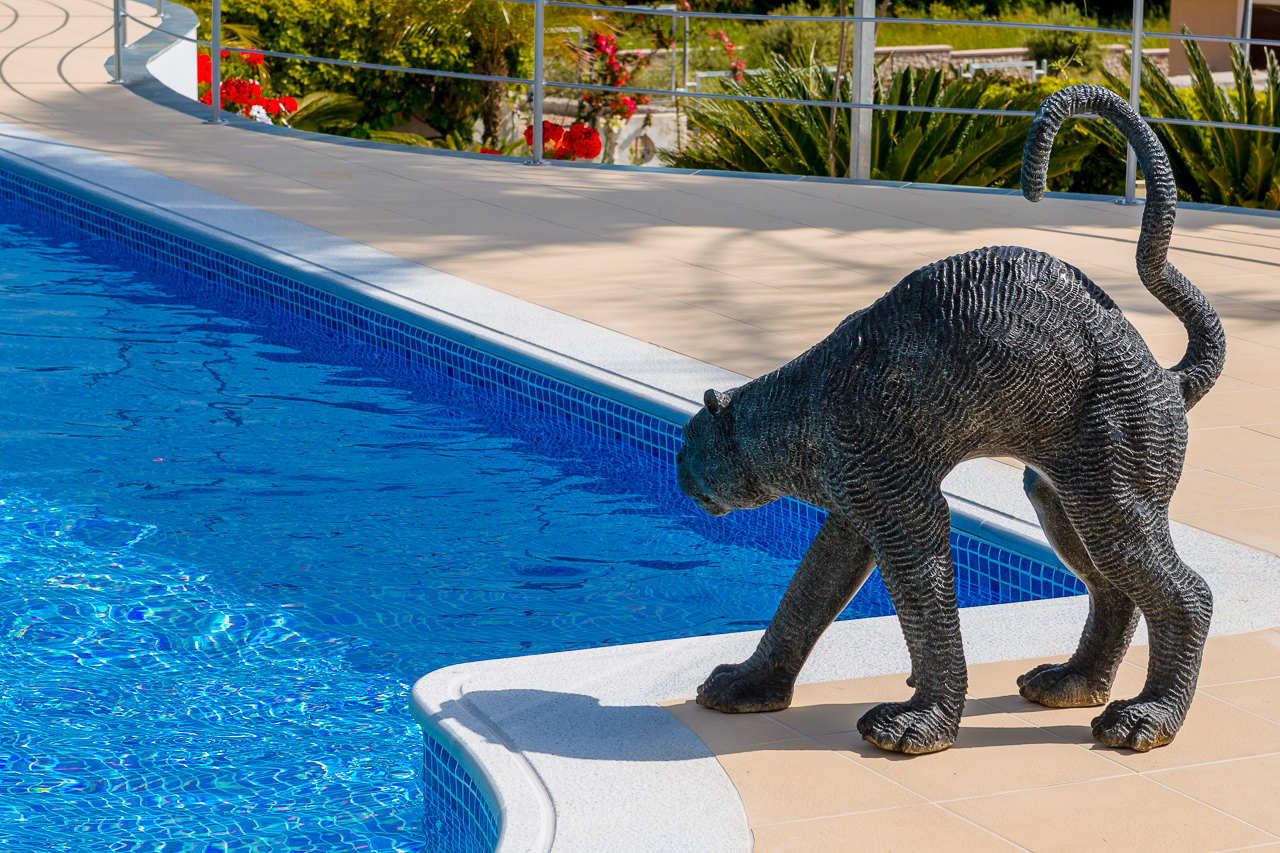 Ornamental cat guards the pool, property for sale in Rhodes, Greece