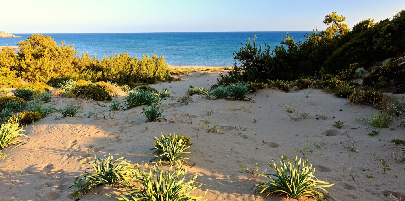 Unspoilt sand-dunes land for sale in Plimiri, Rhodes, Greece
