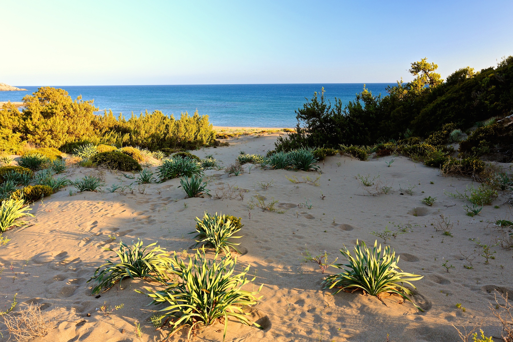 Unspoilt sand-dunes land for sale in Plimiri, Rhodes, Greece