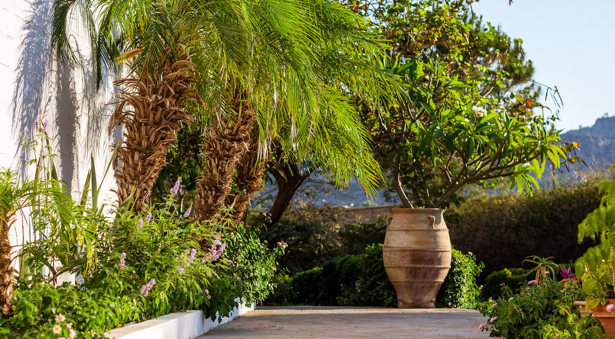 Exotic planting property for sale in Rhodes, Greece