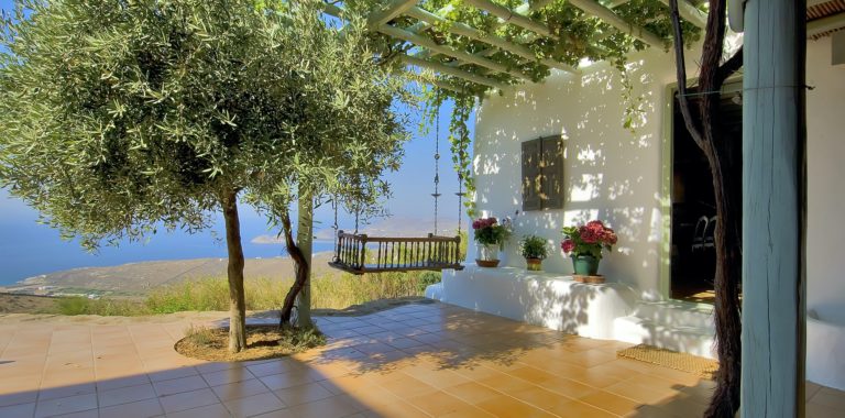 Sit under the shade of the olive tree, property for sale in Mykonos, Greece
