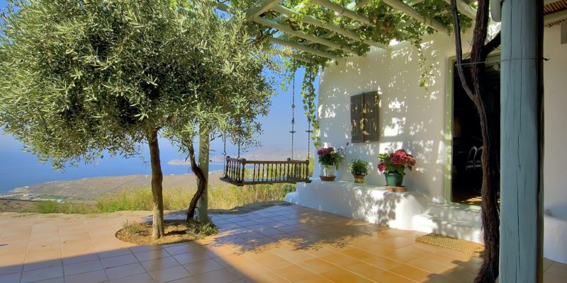 Sit under the shade of the olive tree, property for sale in Mykonos, Greece