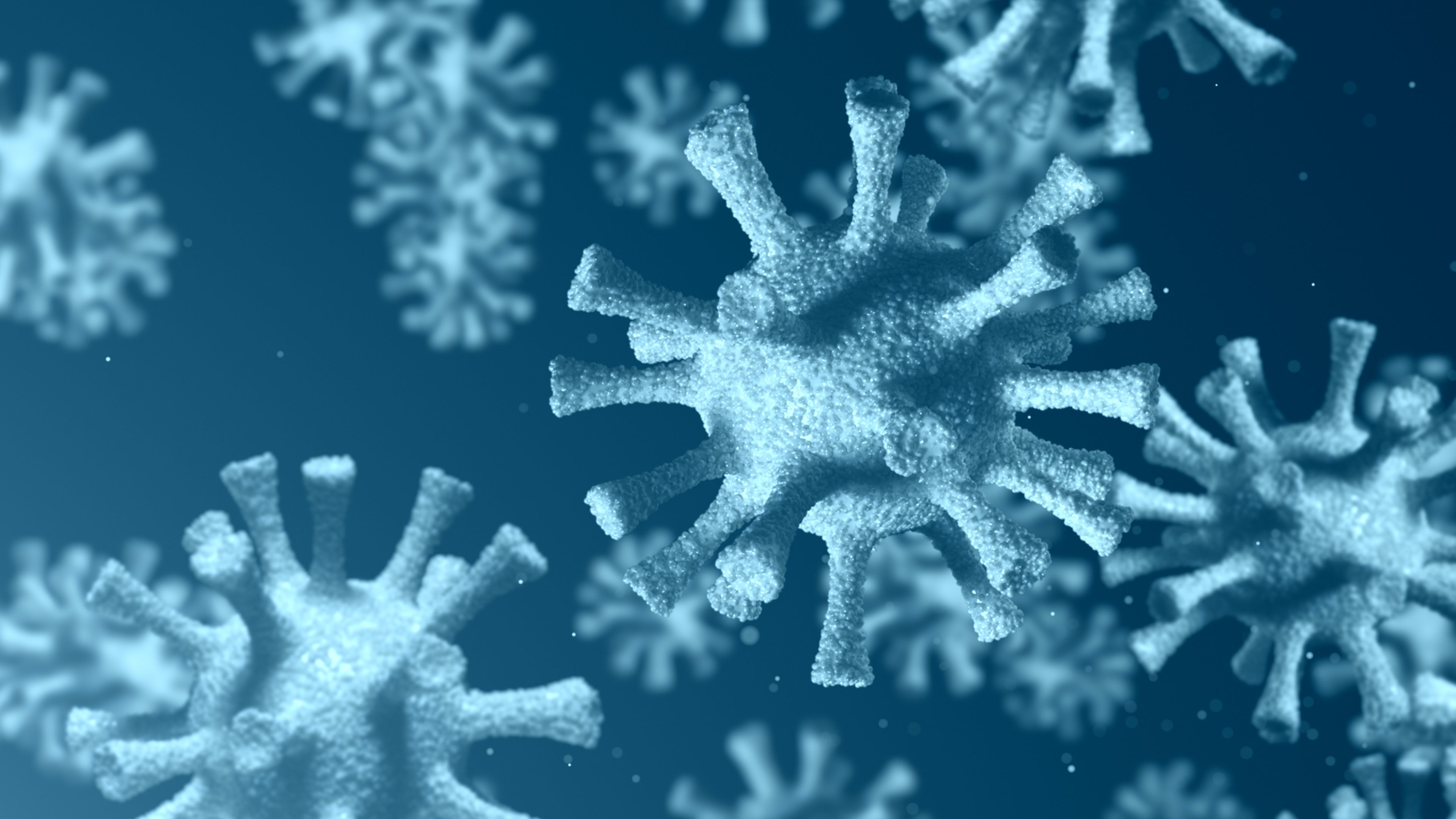 Novel Coronavirus COVID-19 – Questions and Answers