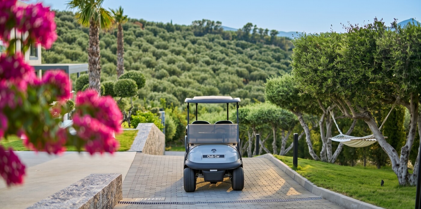Duet – Photo 6