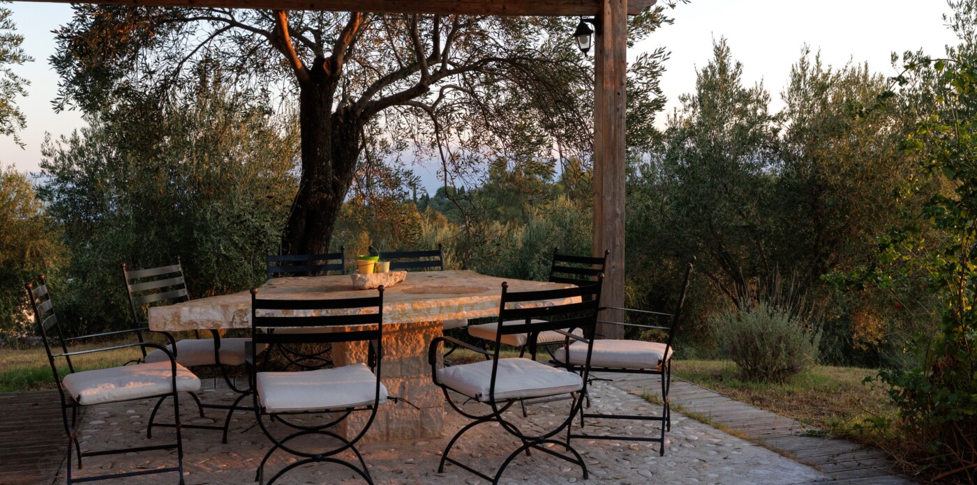 Mimoza – Photo 9