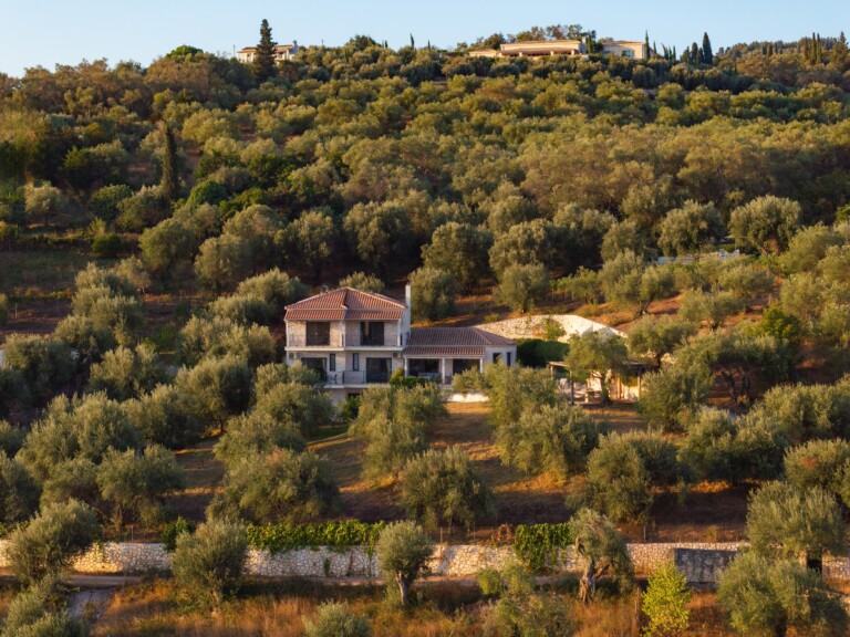 Mimoza – Photo 25